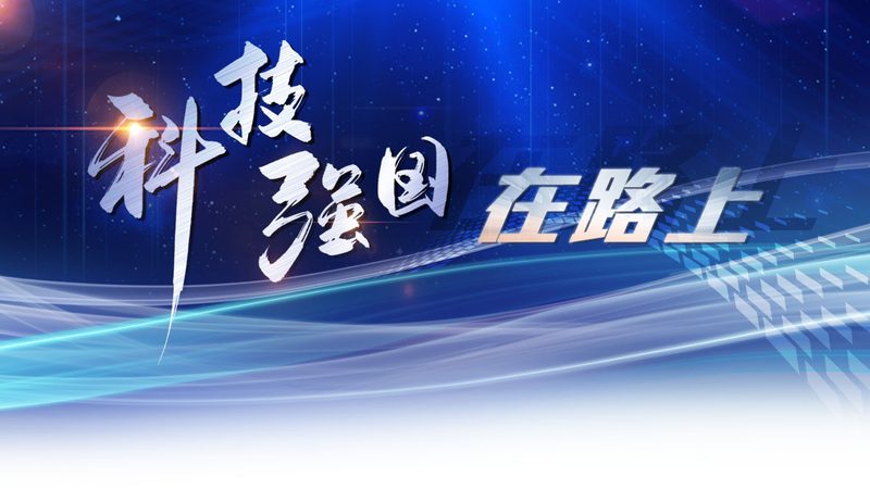 数据中台：2025年品牌排行榜背后的行业洞察